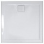 Daintree Square Shower Screen + Shower Base + Wall Panel 1000 * 1000